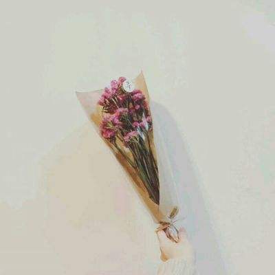 鬼畜作妖计百度版下载